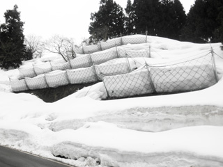 雪崩防護柵「ARCフェンスSタイプ」